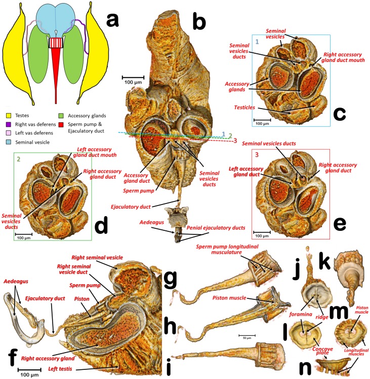 Fig 5