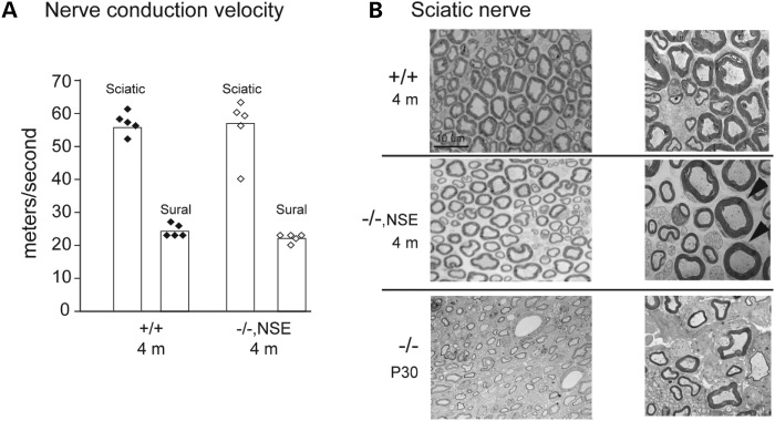 Figure 4.