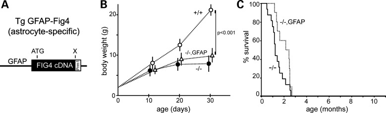 Figure 5.