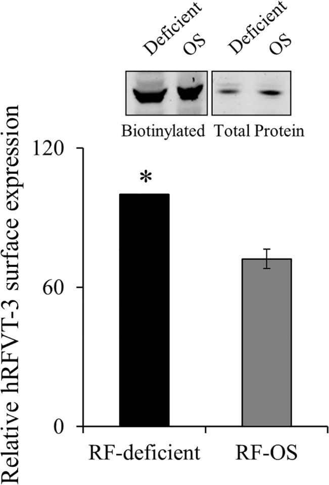 Fig 6