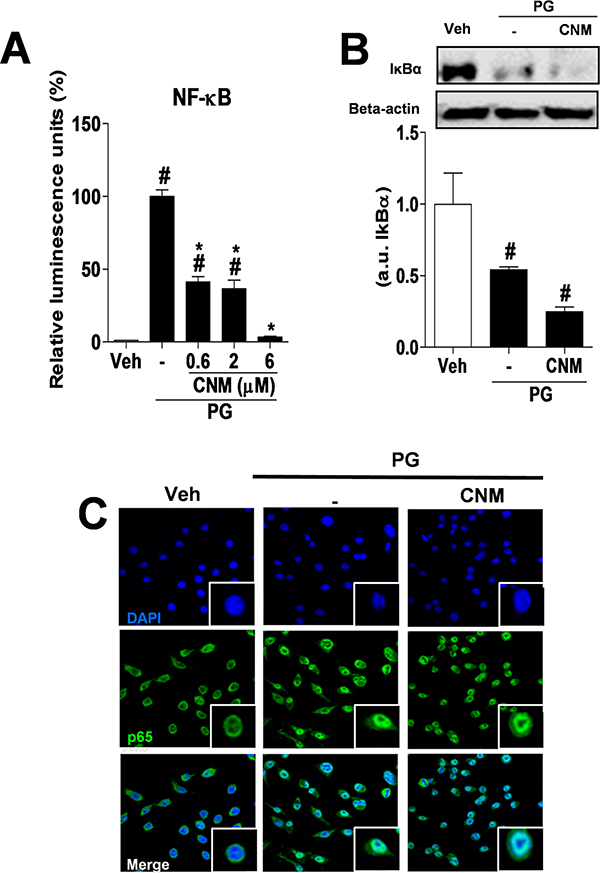 Figure 6.