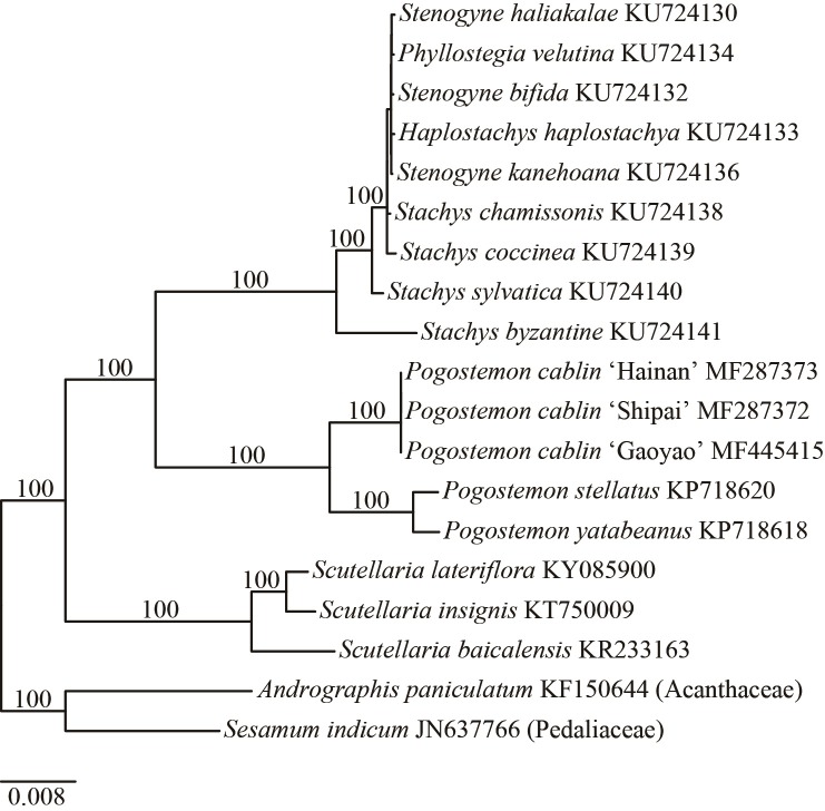 Fig 4