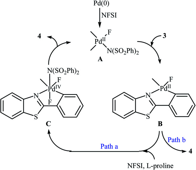 Scheme 3