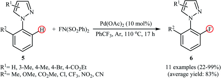 Scheme 4