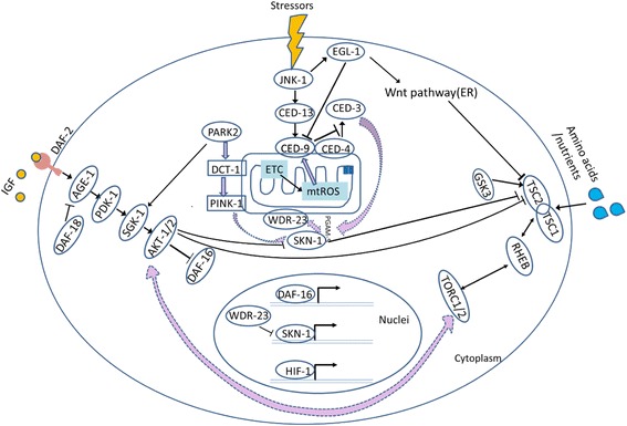 Fig. 3