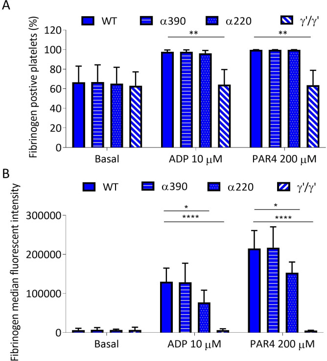 Figure 5—figure supplement 2.