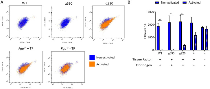 Figure 5—figure supplement 1.