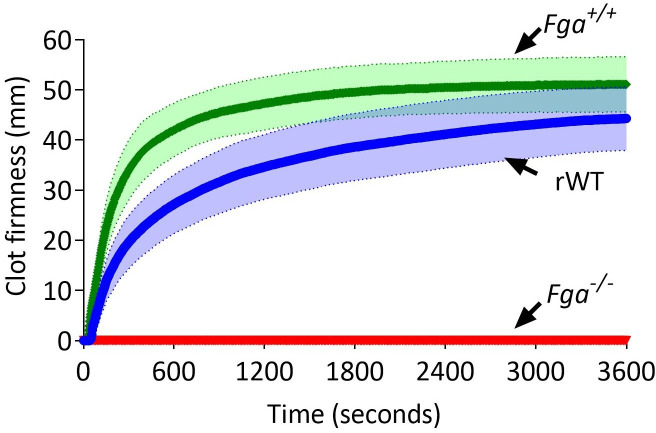 Figure 6—figure supplement 1.