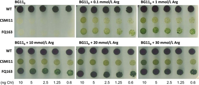 Figure 5