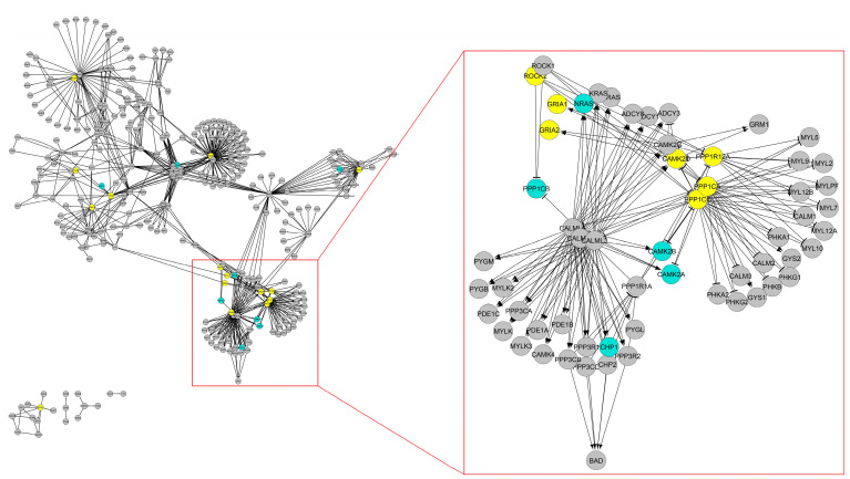 Figure 5