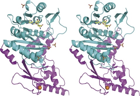 FIGURE 3.