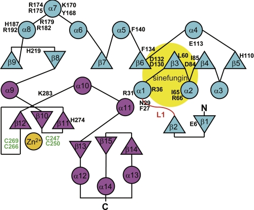 FIGURE 4.