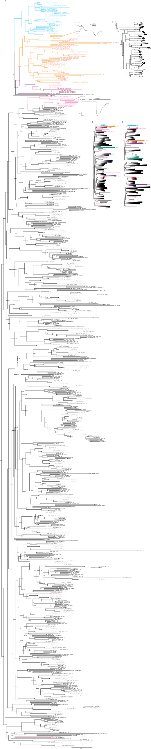Figure 2—figure supplement 1.