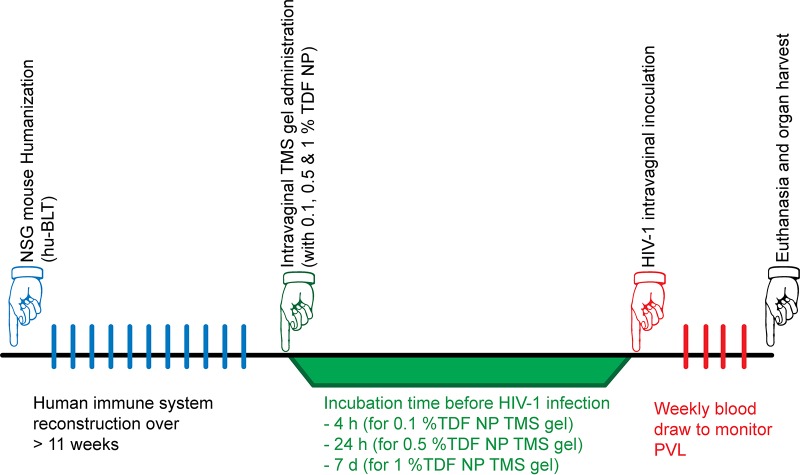 FIG 3