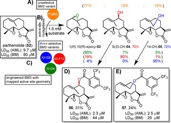 Scheme 12