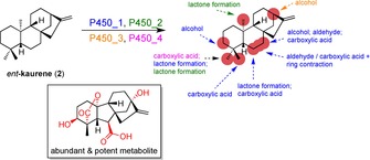 Scheme 3