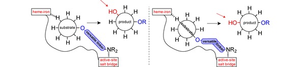 Scheme 4