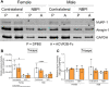Figure 6—figure supplement 1.