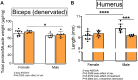 Figure 2—figure supplement 1.