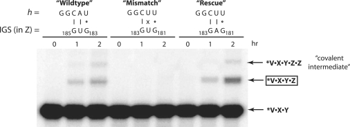 Figure 5.