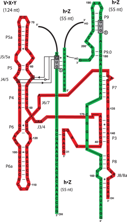 Figure 3.