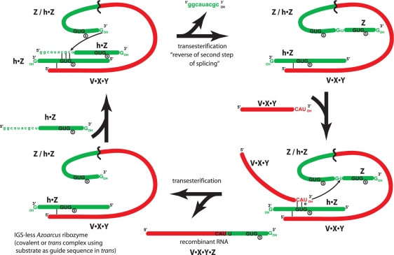 Figure 4.