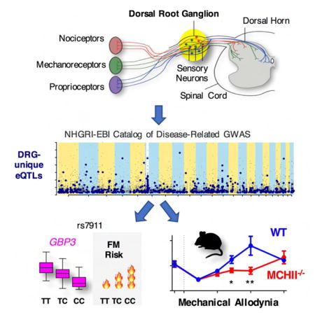 graphic file with name nihms877337u1.jpg