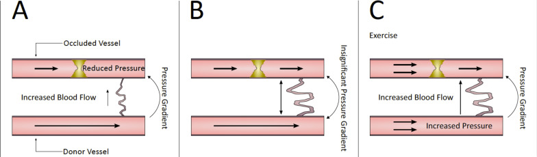 Fig. (2)