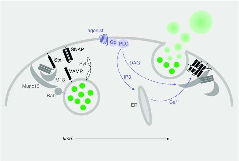 Figure 3.