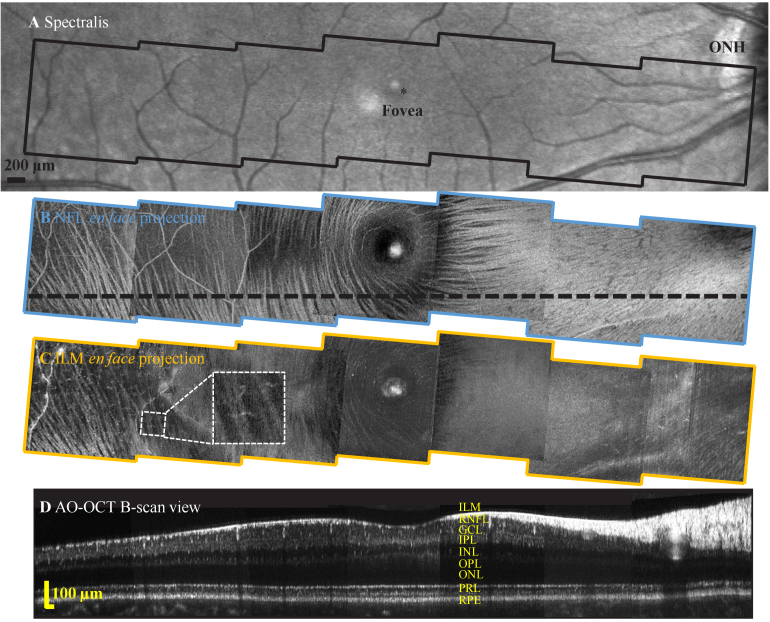 Fig. 6.