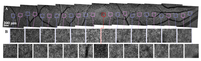 Fig. 7.