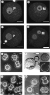 FIG. 3.