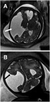 Fig. 8.