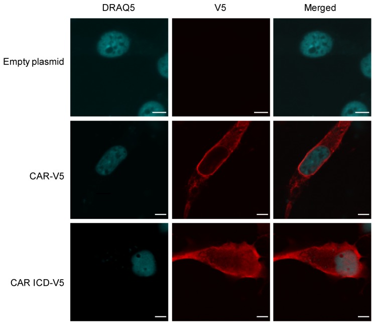 Figure 10