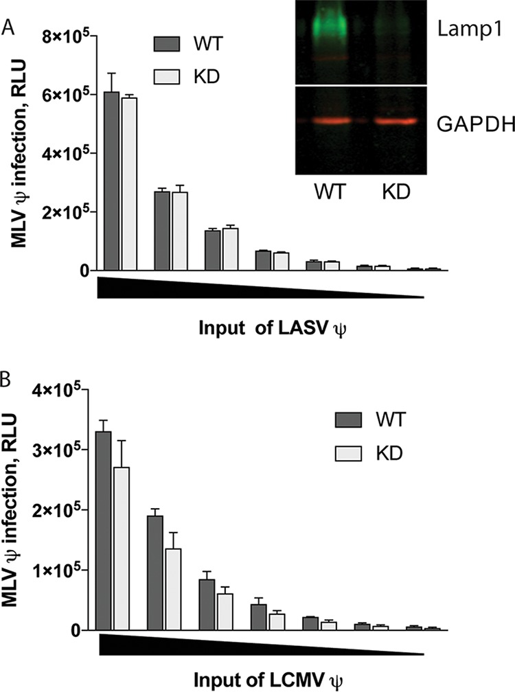 FIG 1 