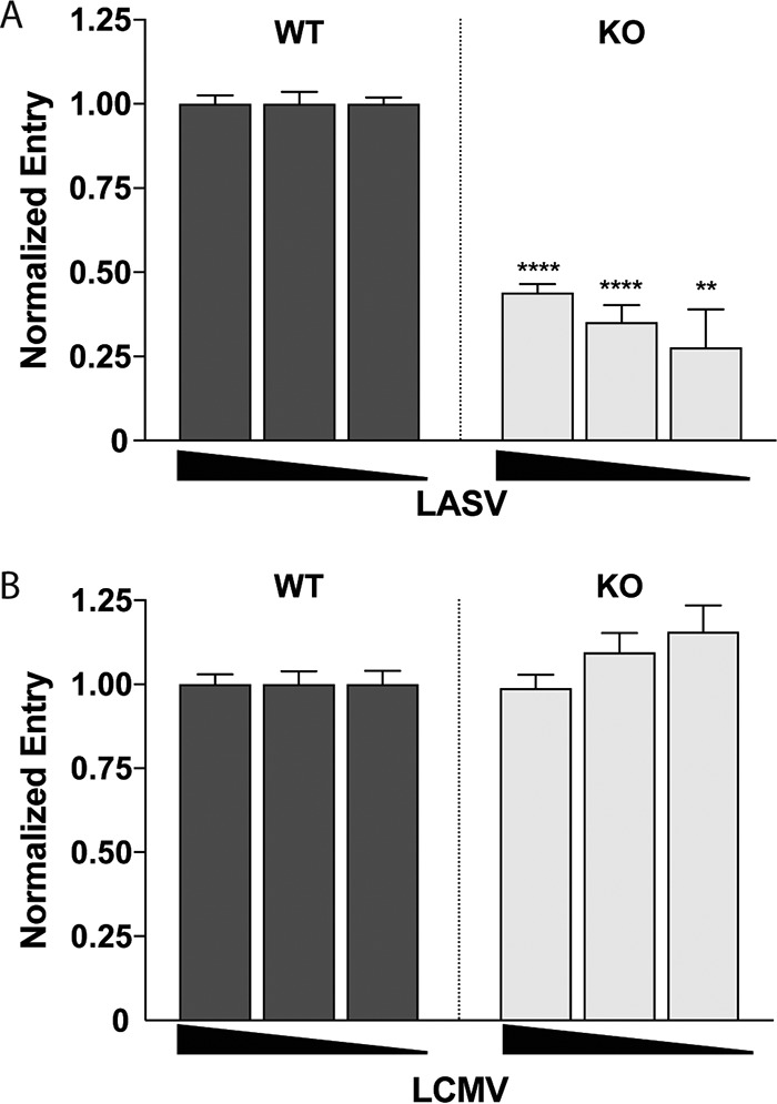 FIG 3 