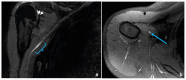 Figure 10.