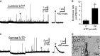 Figure 10.