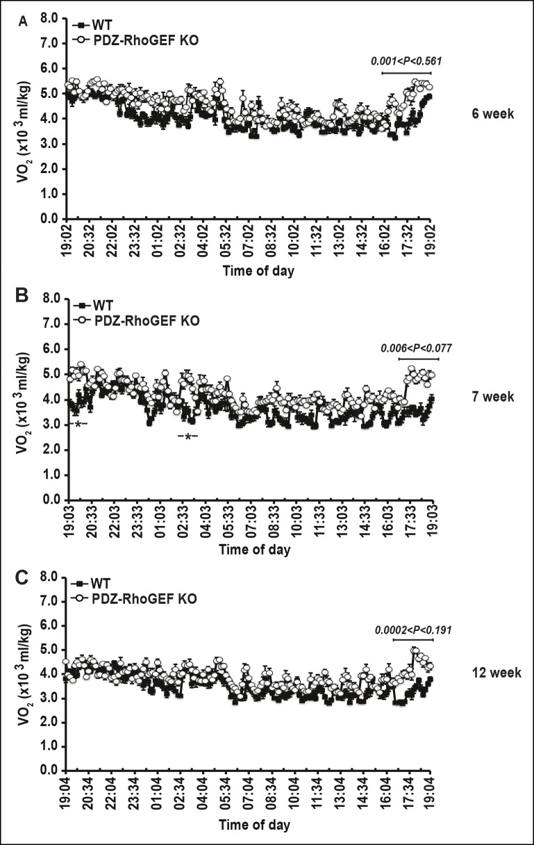 Figure 2—figure supplement 2.