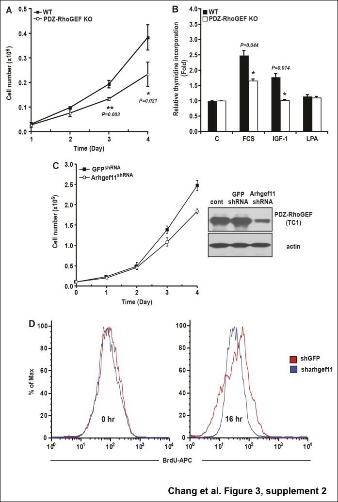 Figure 3—figure supplement 2.