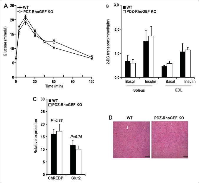 Figure 6—figure supplement 1.