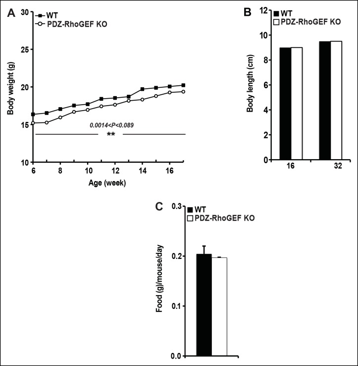 Figure 1—figure supplement 3.