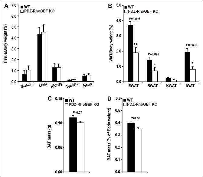 Figure 1—figure supplement 2.