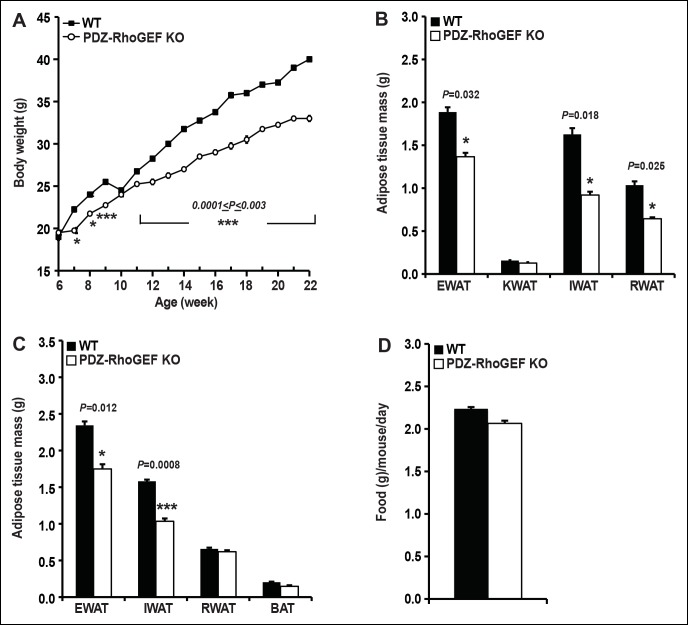 Figure 6—figure supplement 2.