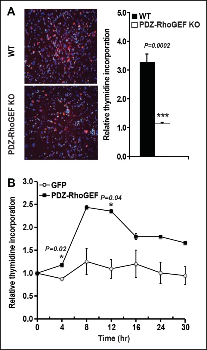 Figure 3—figure supplement 3.