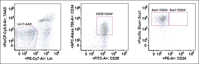 Figure 3—figure supplement 4.