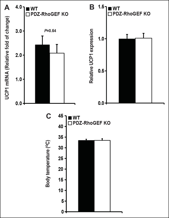 Figure 2—figure supplement 1.