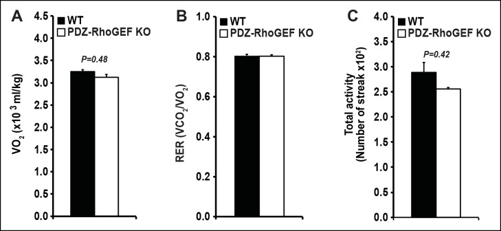 Figure 6—figure supplement 3.