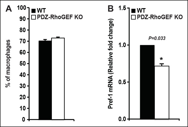 Figure 3—supplement 5.