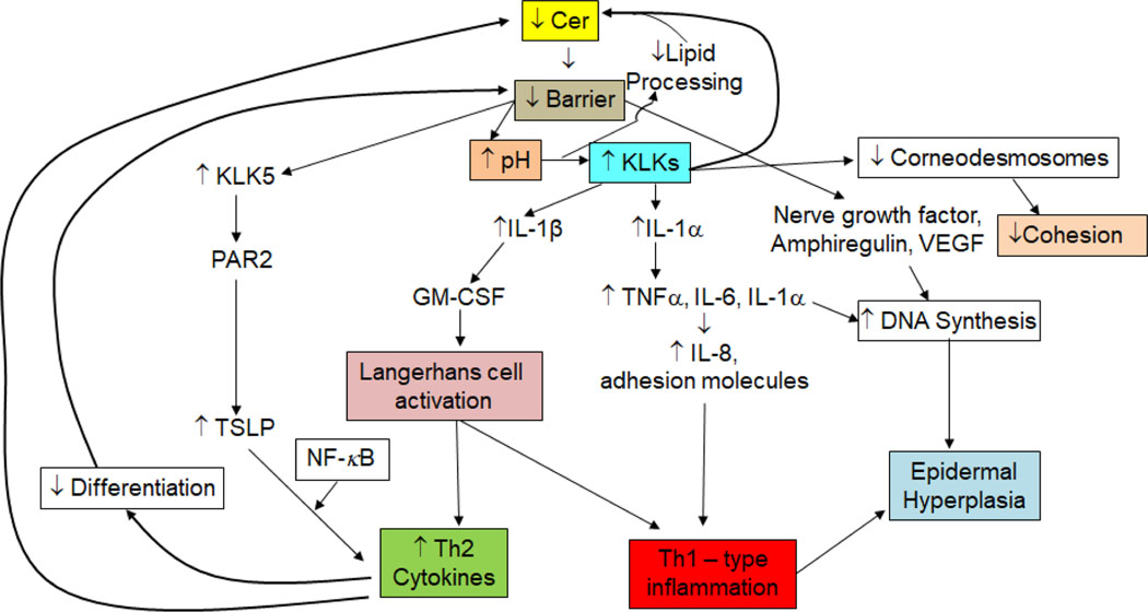 Figure 1: